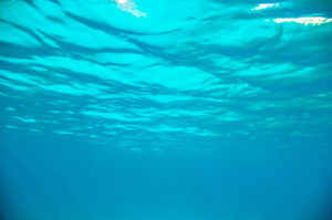 Escursioni in Barca in Sardegna | Sealives