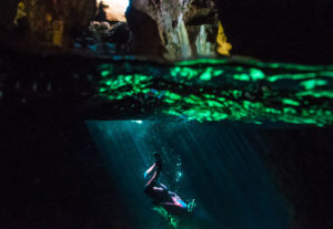 Escursioni in Barca in Sardegna | Sealives