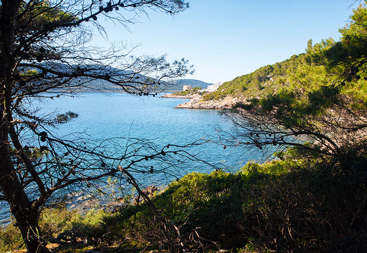 Escursioni in Barca in Sardegna | Sealives