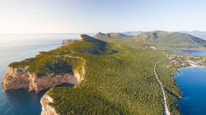 Escursioni in Barca in Sardegna | Sealives