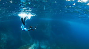 Escursioni in Barca in Sardegna | Sealives