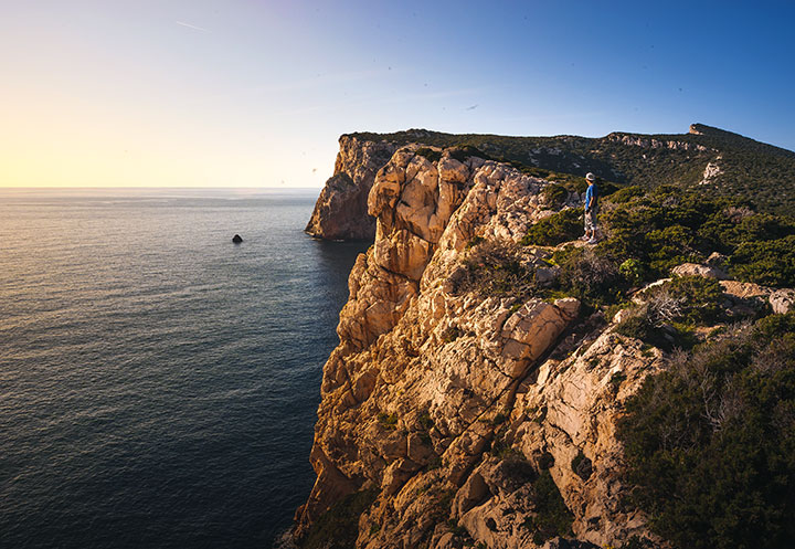 Escursioni in Barca in Sardegna | Sealives