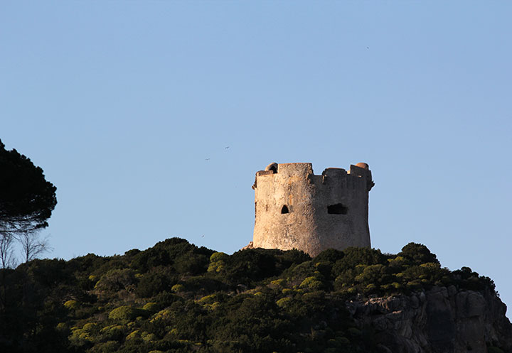 Escursioni in Barca in Sardegna | Sealives