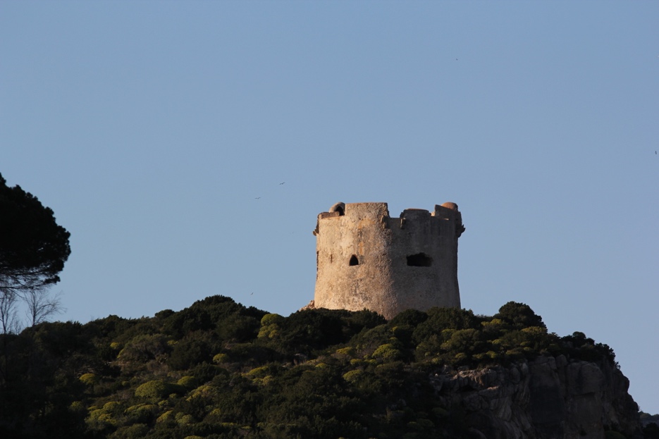 Escursioni in Barca in Sardegna | Sealives