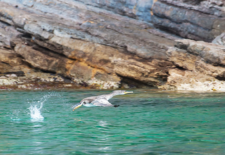 Escursioni in Barca in Sardegna | Sealives