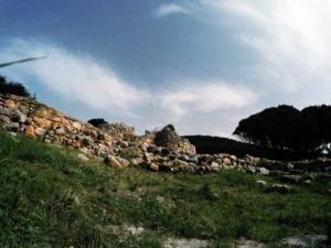 Escursioni in Barca in Sardegna | Sealives