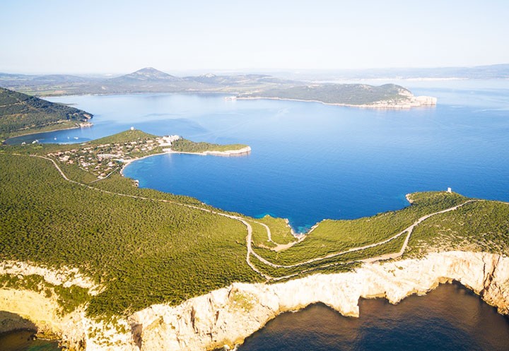 Escursioni in Barca in Sardegna | Sealives